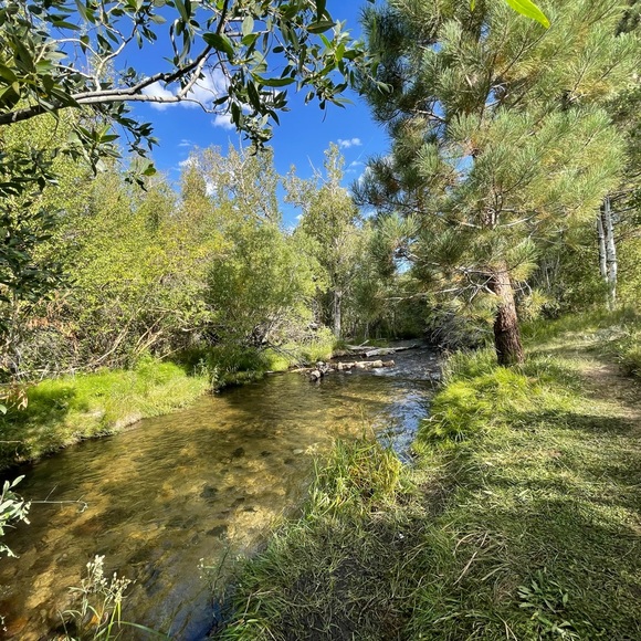 Meet your Posher, Kimberly - Picture 10 of 10